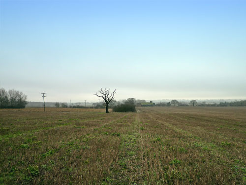 Land for Sale Maldon