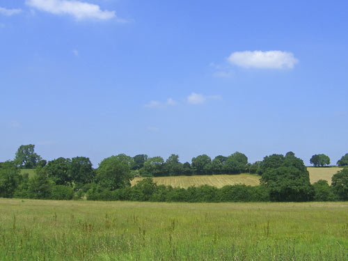 Land for Sale Shrewley